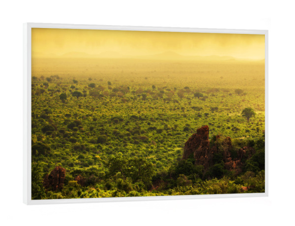 Poster mit weißem Rahmen "Bush in Kenya, Africa. Tsavo West National Park" artboxONE - Reise / Afrika
