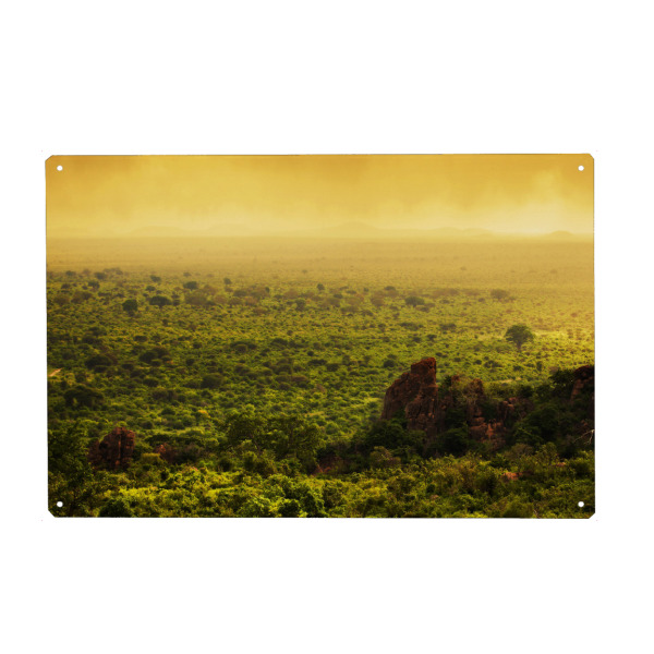 Metall Poster "Bush in Kenya, Africa. Tsavo West National Park" artboxONE - Reise / Afrika