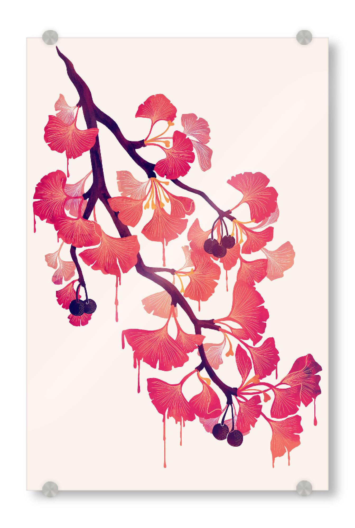 Acrylglasbild "O Ginkgo" artboxONE - Natur,Floral