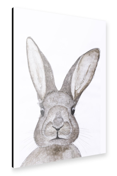 Alu-Dibond "Hase" 30x20 cm artboxONE