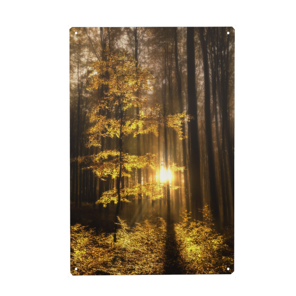 Holzbild "Der Wald erwacht" artboxONE - Natur - Wald,Natur,Herbstwald,Sonne