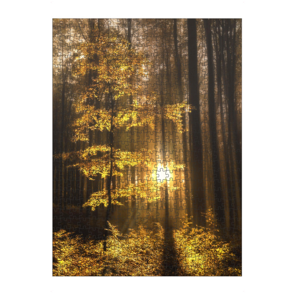 Puzzle Ravensburger "Der Wald erwacht" artboxONE - Natur - Wald,Natur,Herbstwald,Sonne - Bild Wald