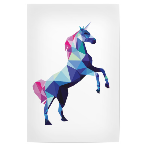 Geometric Unicorn