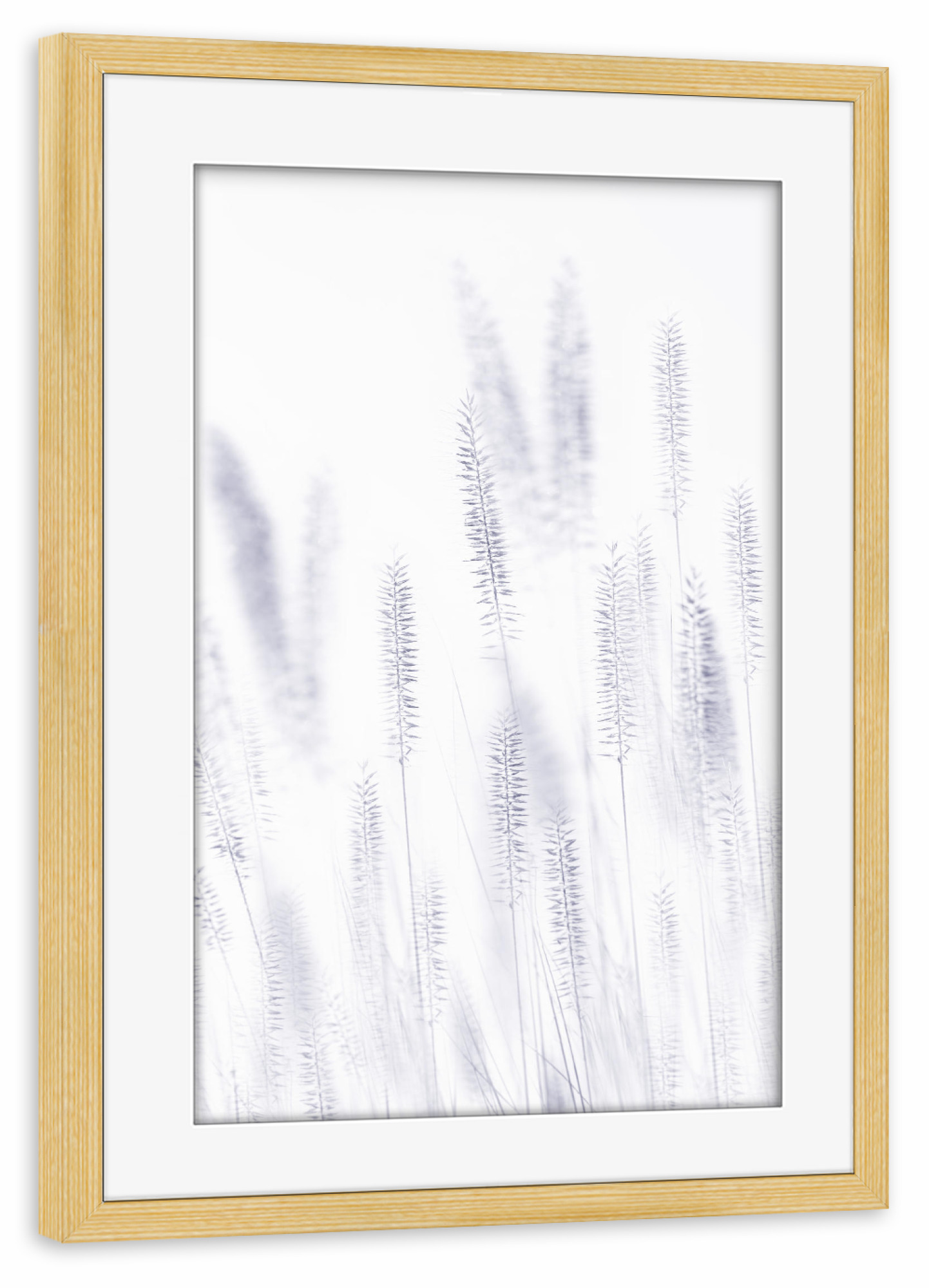 Poster mit Rahmen kiefer "Shade of Blade" artboxONE - Floral,Abstrakt,Schwarzweiß - Makro,Grashalme