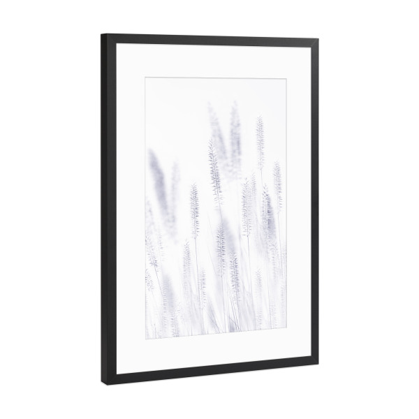 Poster mit Rahmen Schwarz (Metallic) "Shade of Blade" artboxONE - Floral,Abstrakt,Schwarzweiß - Makro,Grashalme