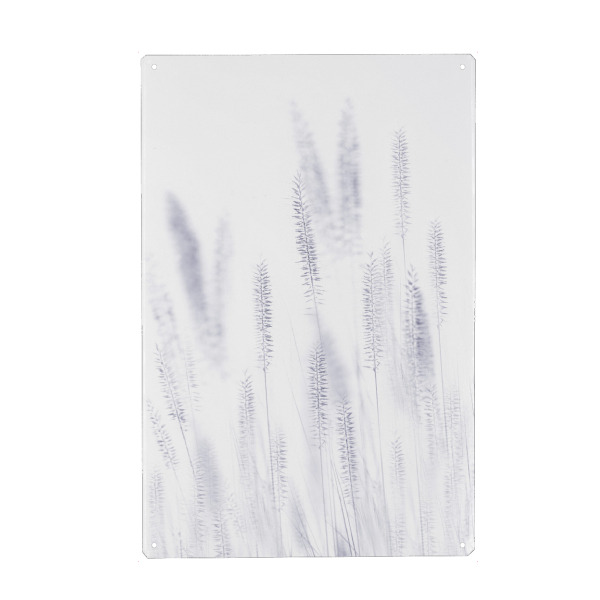 Metall Poster "Shade of Blade" artboxONE - Floral,Abstrakt,Schwarzweiß - Makro,Grashalme - Blechschild
