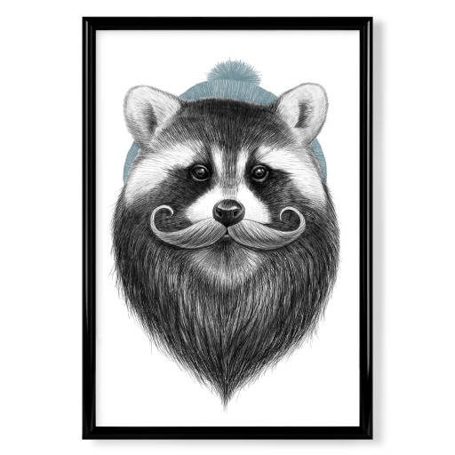 Bearded raccoon