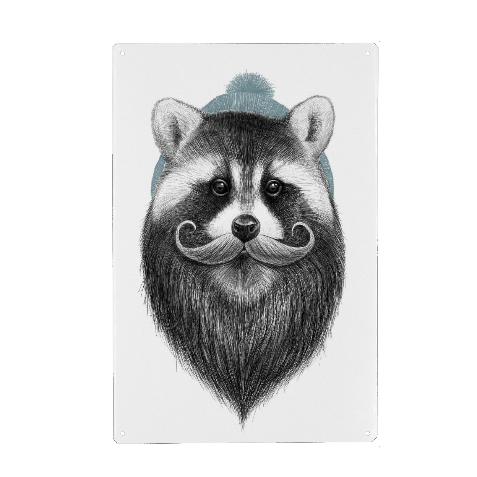 Metall Poster "Bearded raccoon" artboxONE - Tiere,Schwarzweiß,Fashion,Festivals