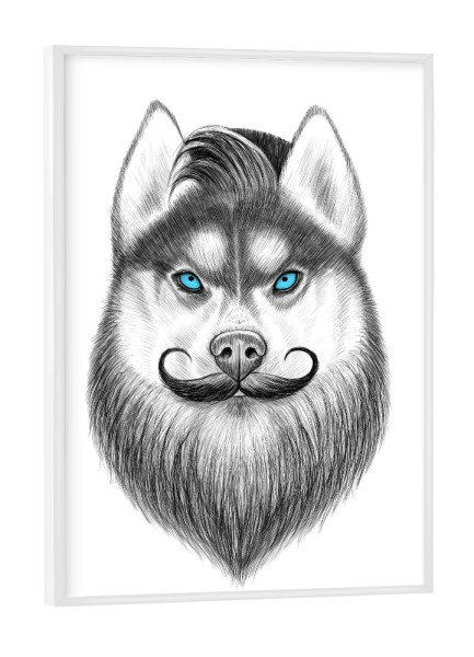 Poster mit weißem Rahmen "Bearded husky" artboxONE - Natur,Tiere,Fashion,Festivals