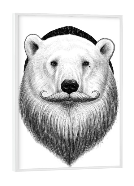 Poster mit weißem Rahmen "Bearded polar bear" artboxONE - Tiere,Schwarzweiß,Fashion,Festivals
