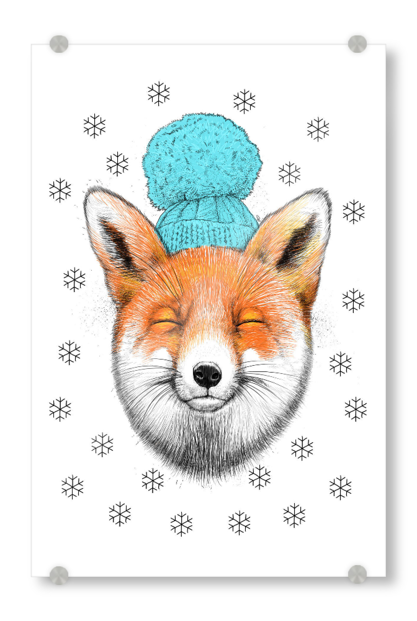 Acrylglasbild "Winter fox" artboxONE - Natur,Tiere,Fashion