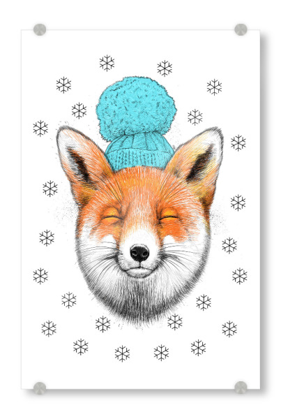 Acrylglasbild "Winter fox" artboxONE - Natur,Tiere,Fashion