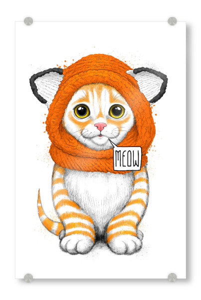 Acrylglasbild "Winter kitten" artboxONE - Natur,Tiere,Fashion