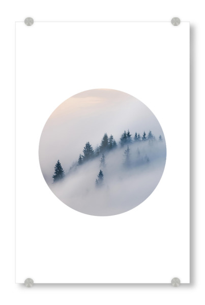 Acrylglasbild "Forest With Mist" artboxONE - Natur