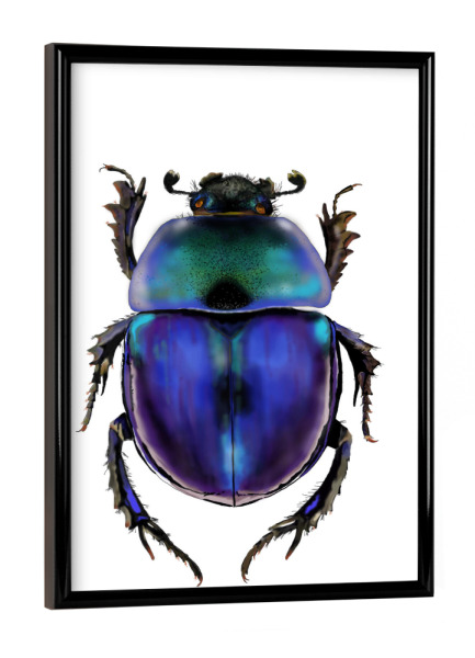 Poster mit schwarzem Rahmen "Käfer" artboxONE - Natur,Tiere - Bug,Insekten,Käfer,Atur,Iere,Aladdin