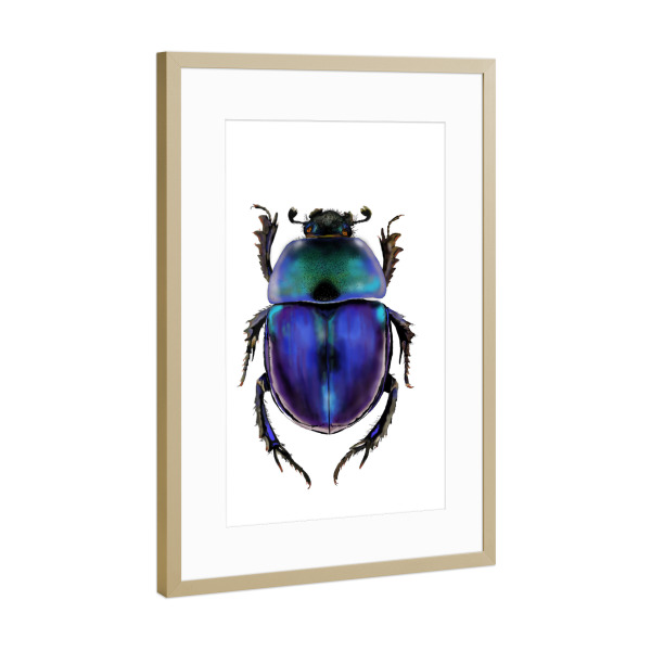 Poster mit Rahmen Gold "Käfer" artboxONE - Natur,Tiere - Bug,Insekten,Käfer,Atur,Iere,Aladdin