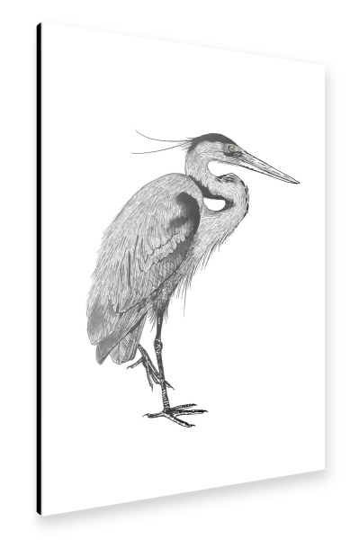 Alu-Dibond "Fischreiher" 30x20 cm artboxONE