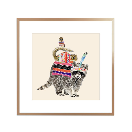 Racoon