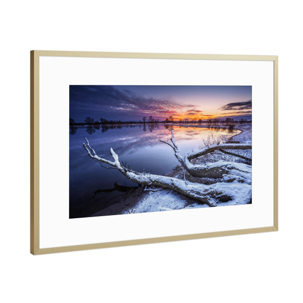 Poster mit Rahmen Gold "Die Elbe bei Bleckede" artboxONE - Natur