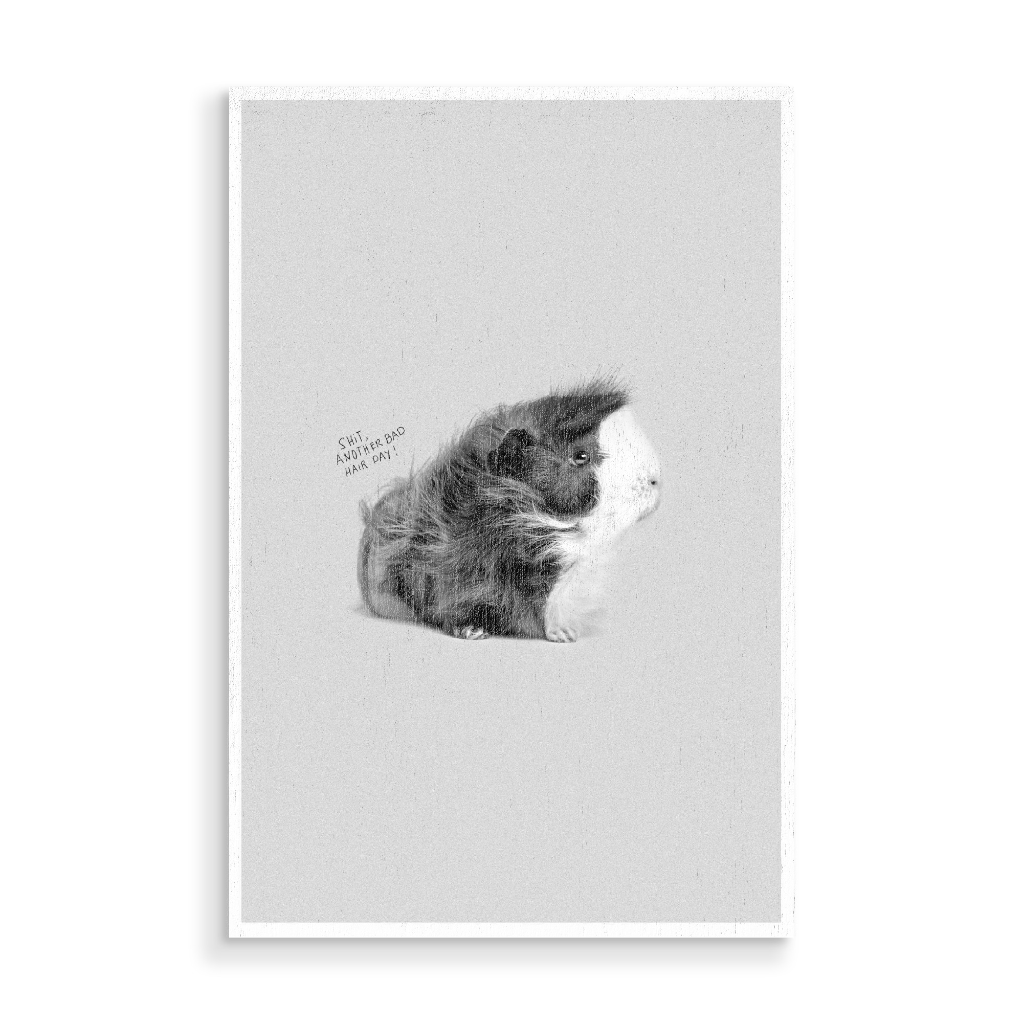 Holzbild "Cavy Hair" artboxONE - Für Kinder,Tiere,Schwarzweiß - Meerschweinchen,Haare,Wild,Lustig,Typografie,Niedlich,Ausruf,Tier,Haustier,Fotografie