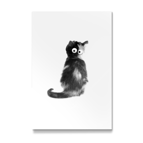 Galerie-Print "Funny Cat" 30x20 cm artboxONE