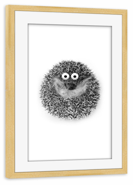 Poster mit Rahmen kiefer "Funny Hedgehog" artboxONE - Für Kinder,Tiere - Igel,Lustig,Augen,Niedlich,Stacheln,Tier,Haustier,Fotografie