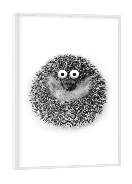 Poster mit weißem Rahmen "Funny Hedgehog" artboxONE - Für Kinder,Tiere - Igel,Lustig,Augen,Niedlich,Stacheln,Tier,Haustier,Fotografie