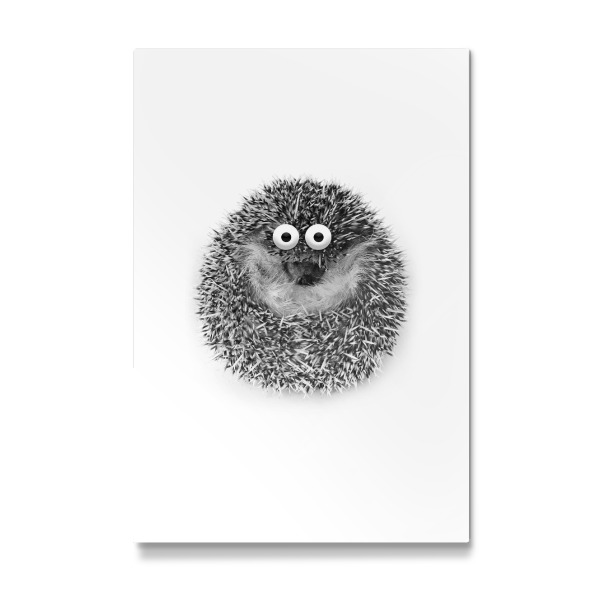 Galerie-Print "Funny Hedgehog" 30x20 cm artboxONE