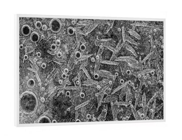 Poster mit weißem Rahmen "Eiskunst VI" artboxONE - Natur,Abstrakt,Schwarzweiß