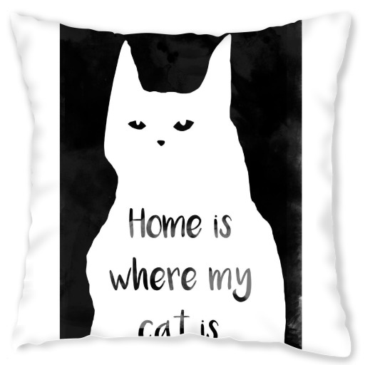 Where my cat is