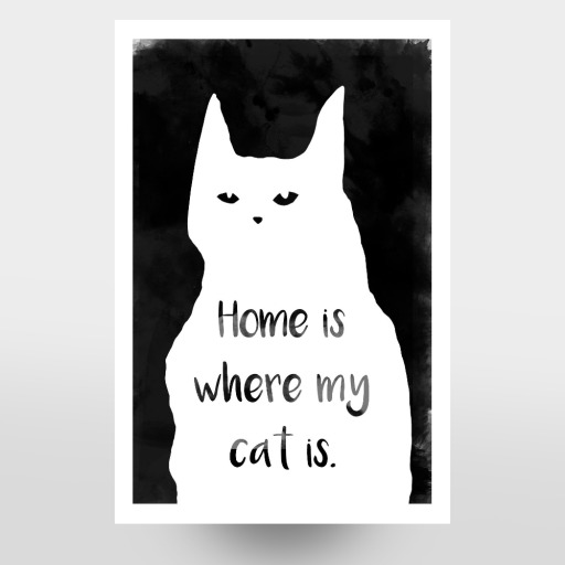 Where my cat is