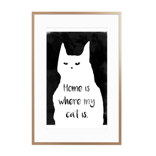 Where my cat is