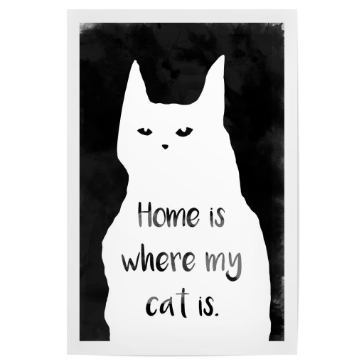 Where my cat is