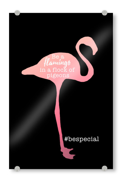 Acrylglasbild "Be a flamingo" artboxONE - Typografie,Tiere - Flamingo.bespecial,Rosa,Tier,Liebe,Sprüche,Süß,Schlau