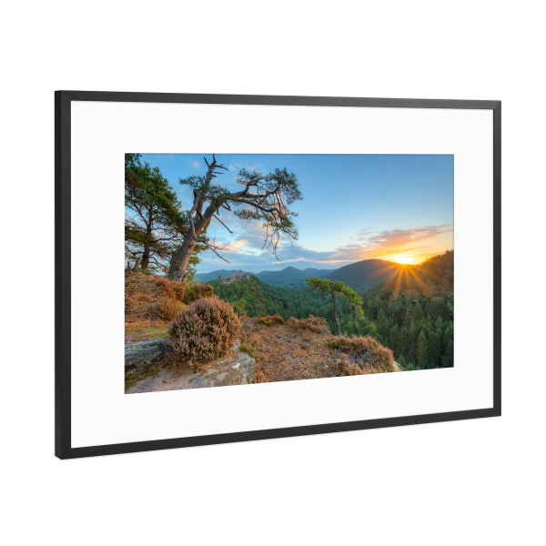 Poster mit Rahmen Schwarz (Metallic) "Morgens im Pfälzerwald" artboxONE - Natur,Reise