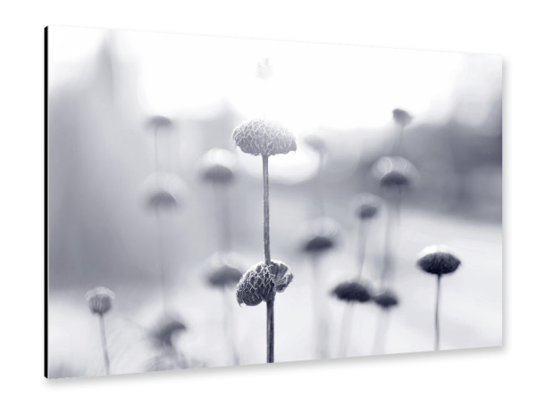 Alu-Dibond "Wintermorgen" 30x20 cm artboxONE