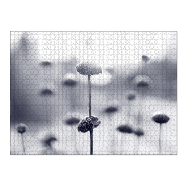 Puzzle Ravensburger "Wintermorgen" artboxONE - Natur,Floral,Schwarzweiß - Winterstimmung,Makroaufnahme,Pflanzen,Schwarzweiß,Morgen,Blumen