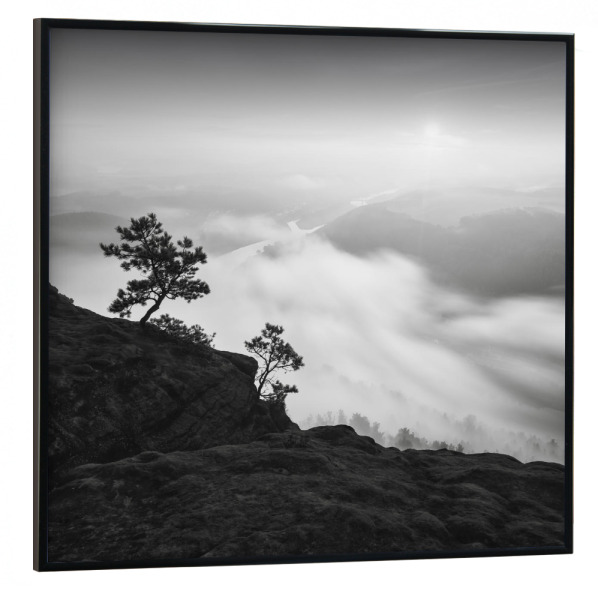 Poster mit schwarzem Rahmen 30x30 cm "Above & Beyond" artboxONE - Natur,Floral,Schwarzweiß