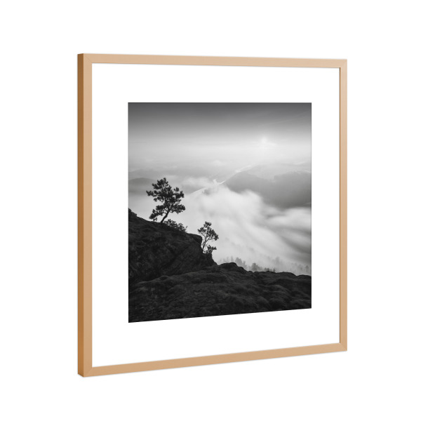 Poster mit Rahmen Kupfer "Above & Beyond" artboxONE - Natur,Floral,Schwarzweiß