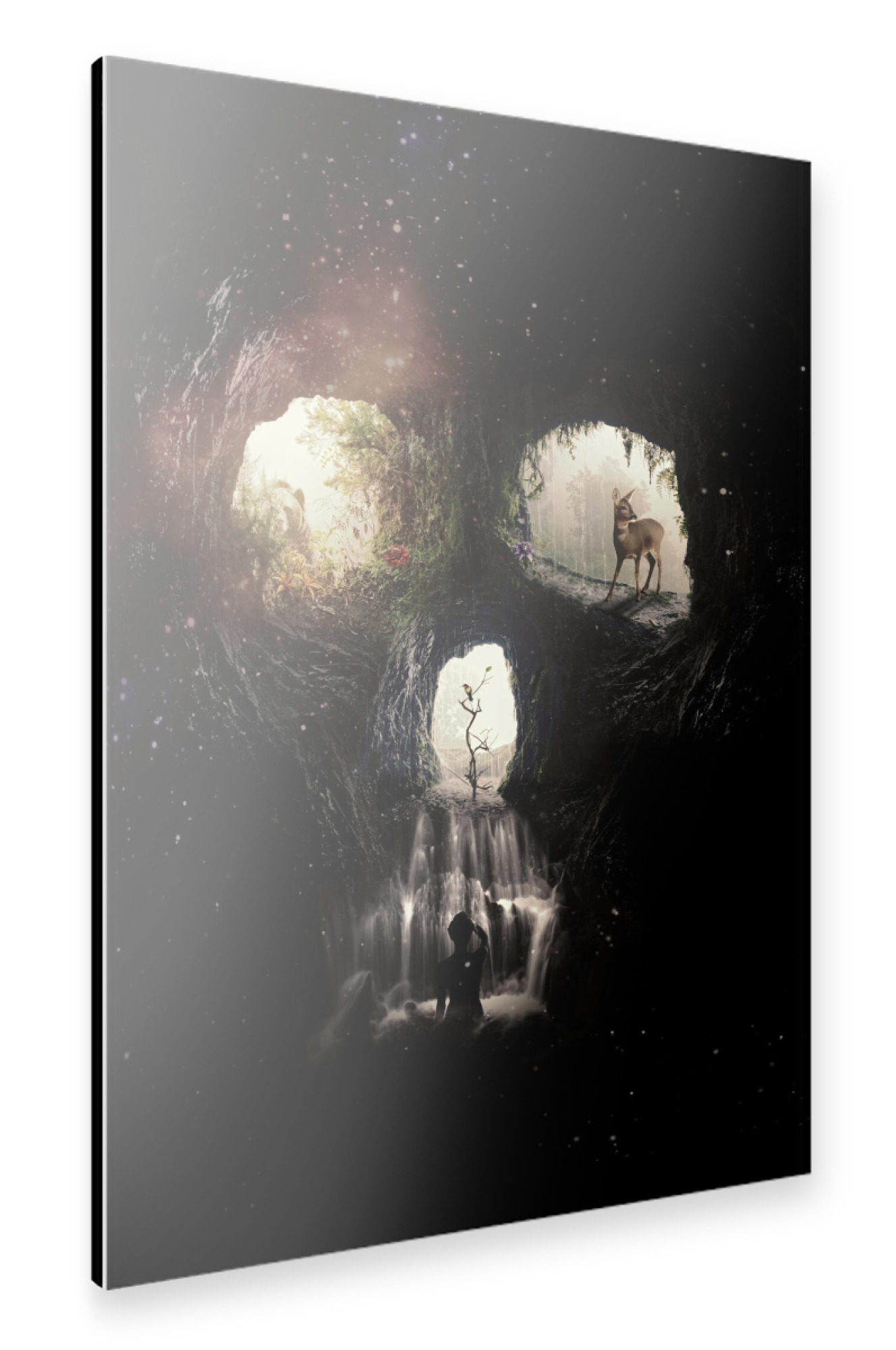 Alu-Dibond "Cave Skull" 75x50 cm artboxONE