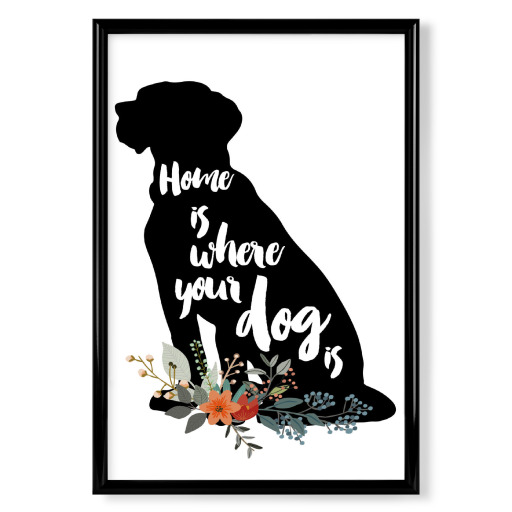 Home is Where Your Dog Is