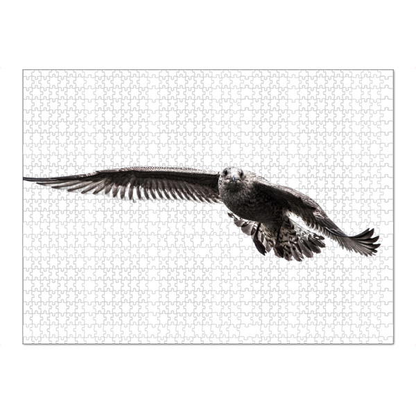 Puzzle Ravensburger "Silbermöwe I" artboxONE - Tiere,Schwarzweiß - Vogel,Möwe,Silbermöwe,Larus,Tier,Fliegen,Aves,Norwegen - Bild vogel