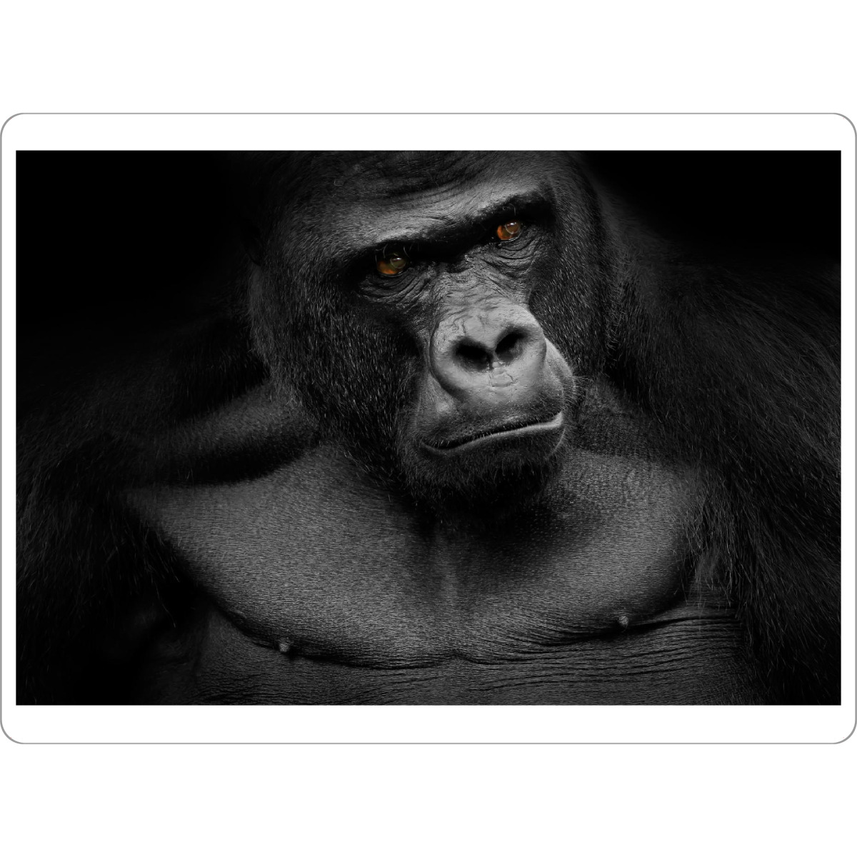 Tischset "Gorilla" artboxONE - Tiere - Tier,Tiere,Gorilla,Affe,Affen,Tierfoto,Tierfotografie,Tierbild,Tierbilder,Menschenaffe,Menschenaffen,Porträt