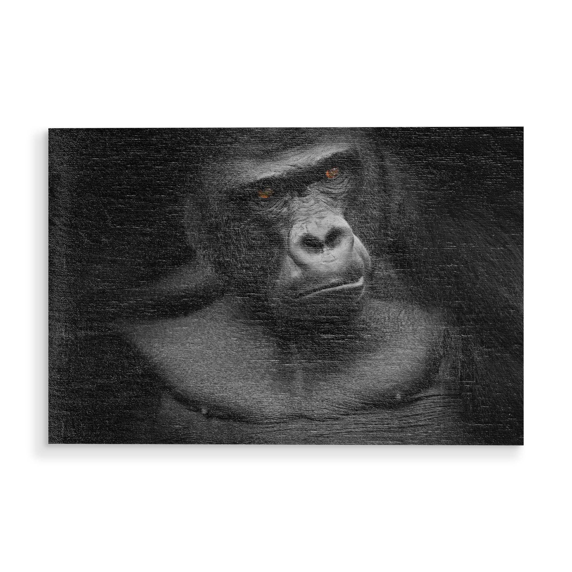 Holzbild "Gorilla" artboxONE - Tiere - Tier,Tiere,Gorilla,Affe,Affen,Tierfoto,Tierfotografie,Tierbild,Tierbilder,Menschenaffe,Menschenaffen,Porträt