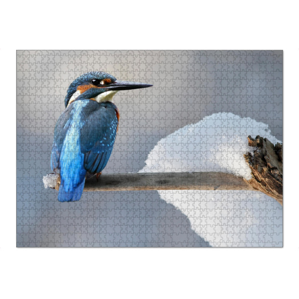 Puzzle Ravensburger "Eisvogel" artboxONE - Tiere