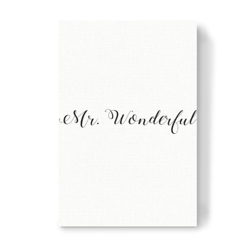 Mr. Wonderful