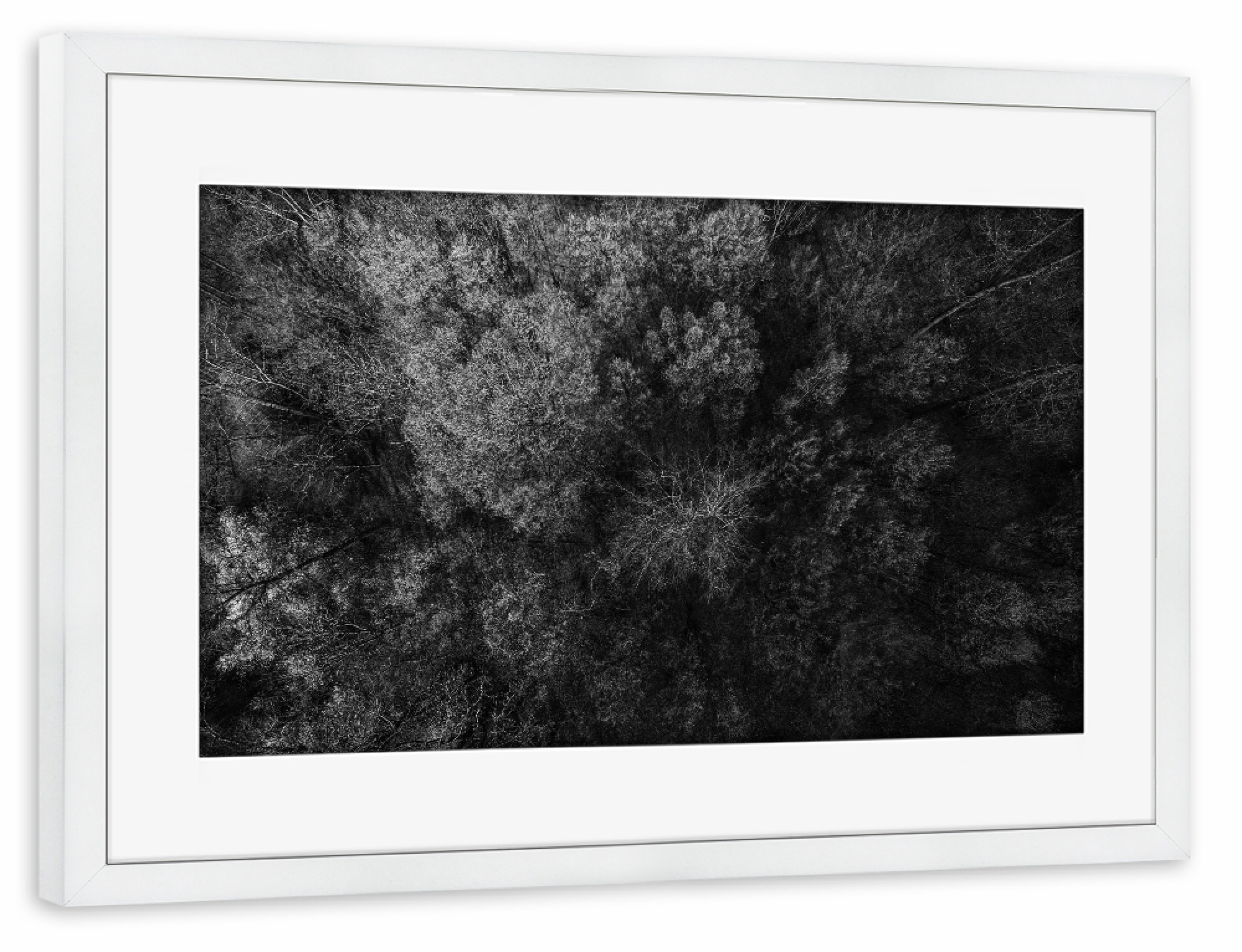 Poster mit Rahmen weiß "BLACK FOREST" artboxONE - Natur,Floral,Schwarzweiß - Wald,Baum,Wald,Landschaft,Erde,Natur,Reise,Drohne