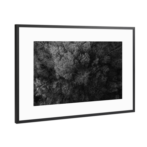 Poster mit Rahmen Schwarz (Metallic) "BLACK FOREST" artboxONE - Natur,Floral,Schwarzweiß - Wald,Baum,Wald,Landschaft,Erde,Natur,Reise,Drohne