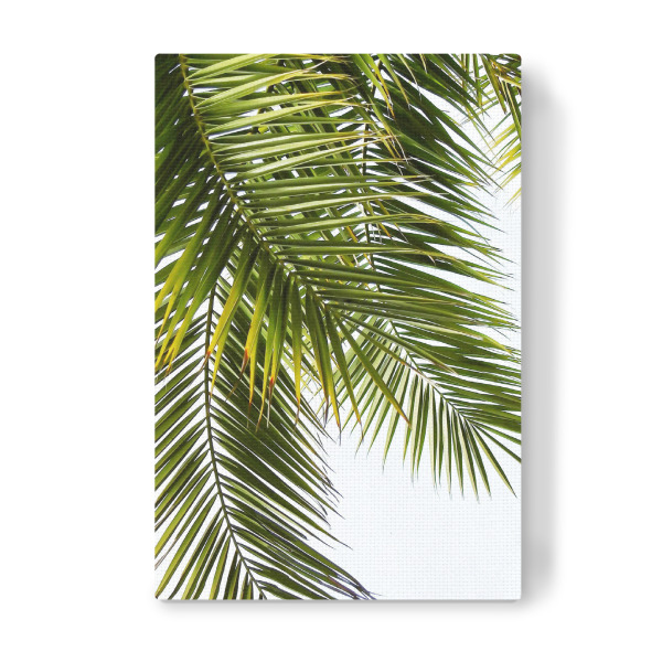 Leinwandbild "Green Palm Leaves" artboxONE - Natur - Palme,Palmenblätter,Leaves
