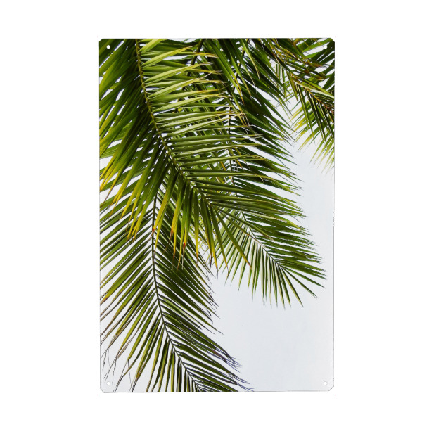 Holzbild "Green Palm Leaves" artboxONE - Natur - Palme,Palmenblätter,Leaves